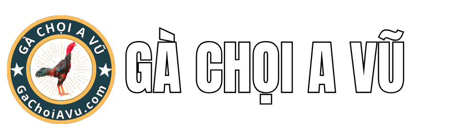 Gà Chọi A Vũ
